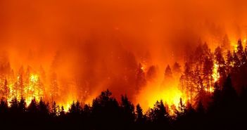 Waldbrände in Deutschland nehmen zu: Vorbereitungen (Foto: AdobeStock - Kirk Atkinson 180656803)